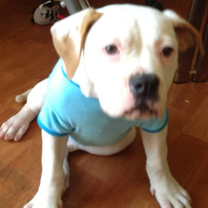 Meet your Posher, Janeth